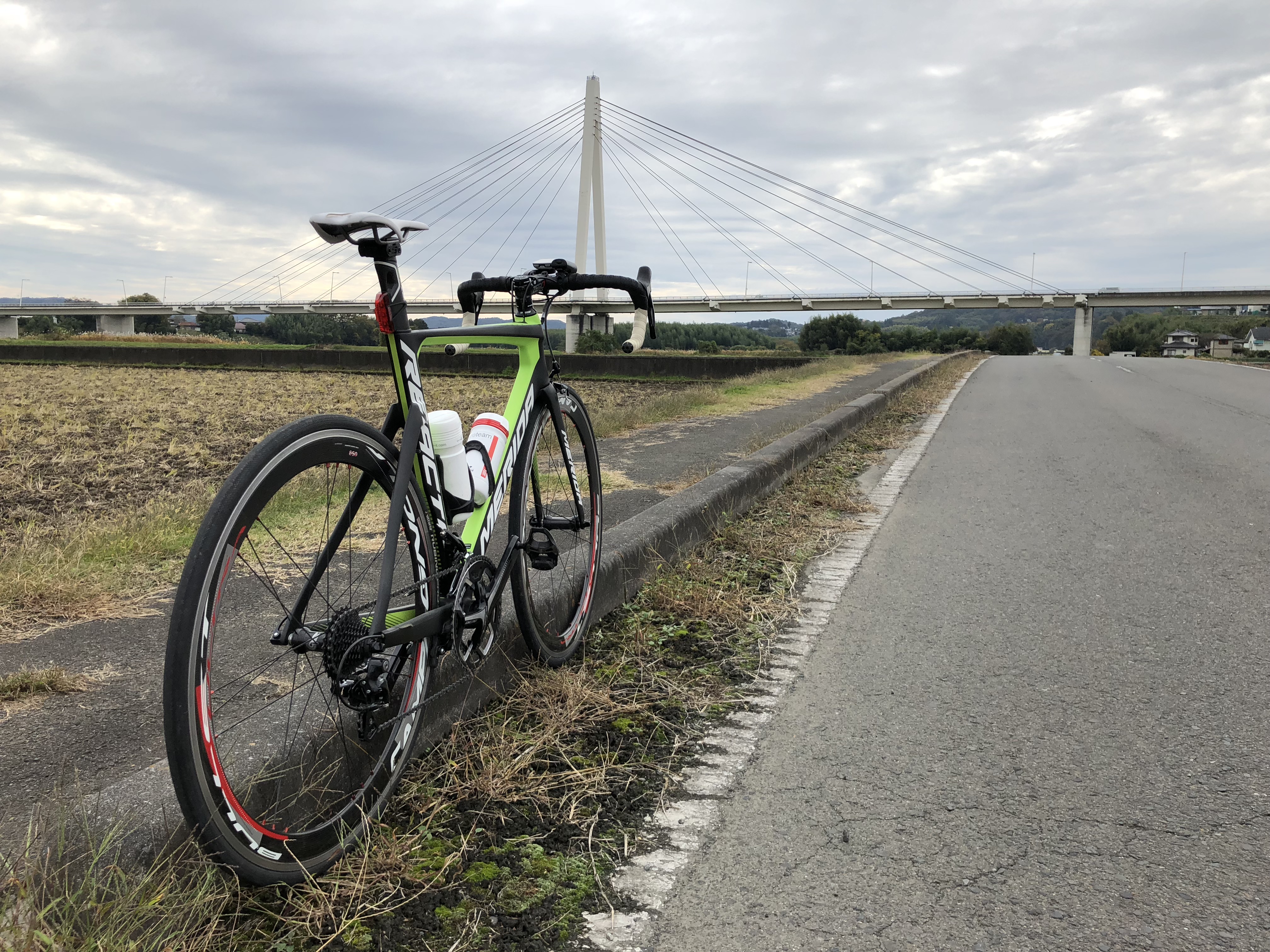 ロードバイク再開 21日間チャレンジで楽しむ自転車ライフ 自由に穏やかに暮らそう